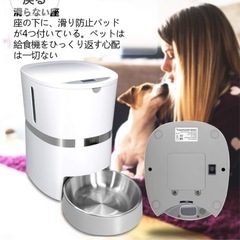 日焼けあり値引き! 自動給餌機　　中、小型猫犬用の画像