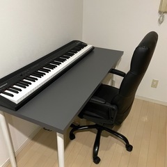 IKEA デスク ラグカプテン