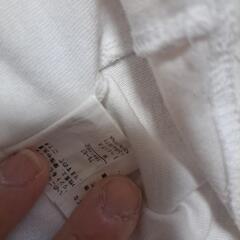 レディースTシャツ　Mの画像