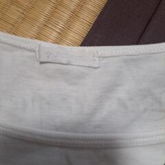 レディースTシャツ　Mの画像