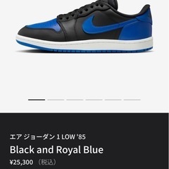 今日限定価格NIKE ナイキ　エアジョーダン