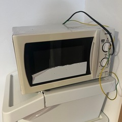 電車レンジ