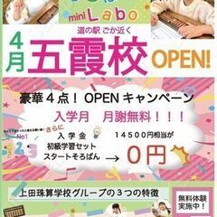 そろばん教室、新規開講！年中・年長さんから通えます🧮