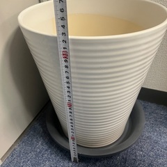 無料　胡蝶蘭用の鉢2個