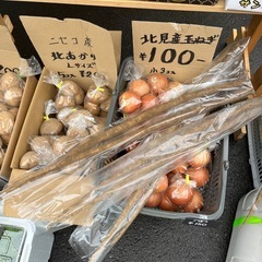 ゴボウ入荷しました！✨