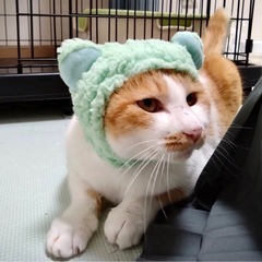 落ち着きあるレディ💕食いしん坊チャーミーちゃん − 東京都