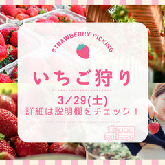 番外編！3/29開催！【いちご狩り🍓】甘酸っぱい春の味覚を満喫しよう✨ - その他