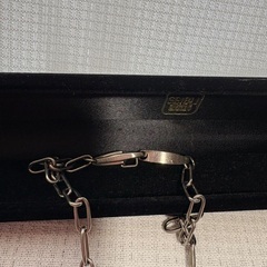 ヴィンテージ チタンネックレス　柳沢敦　鈴木隆行の画像