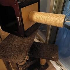 キャットタワーの画像