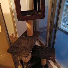 キャットタワーの画像