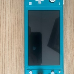 【付属品付き】Nitendo Switch Lite スイッチラ...