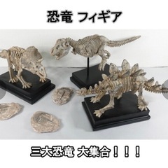 輸入雑貨在庫軽トラ一杯の画像