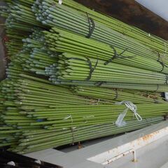 園芸用支柱/ポール 約180cm他 1本50円 大量在庫あり