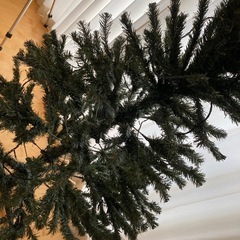 クリスマスツリーの画像
