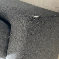 ニトリ　ソファベッドの画像