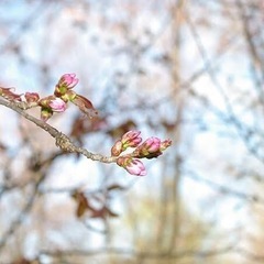 雑談を雑に話せない。誠実なHSPさんと友達になりたいです