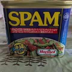 スパム　SPAM 沖縄限定ラベル　340グラム　うす塩