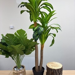 【美品】フェイクグリーンのセット