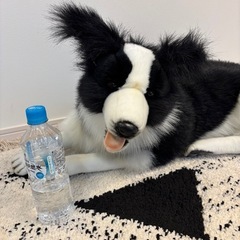 HANSA ボーダーコリー ぬいぐるみ 置物 人形