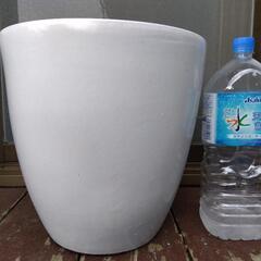 売約済【観葉植物用陶器製鉢カバー（小柄）】カラー：クリアホワイト