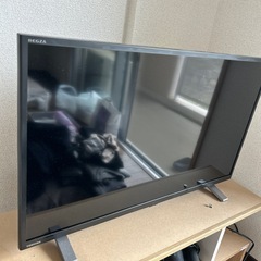 【使用1年未満】テレビ