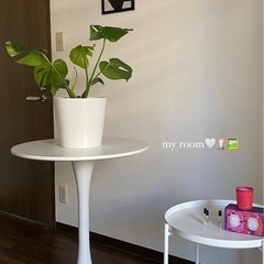 韓国テーブル丸テーブル
の画像