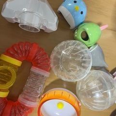 展示品 モデルコンテナハウス 未居住品 土地、電気、水があればすぐに