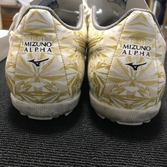 トレシュー　MIZUNO26cmの画像
