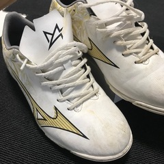 トレシュー　MIZUNO26cm