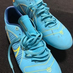 スパイクNIKE25cm