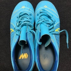 スパイクNIKE25cmの画像