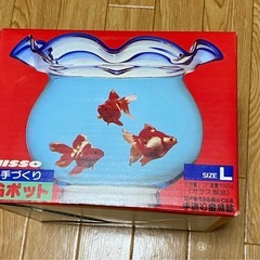 金魚鉢