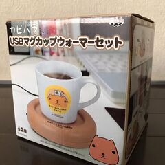 たれぱんだ ハイジ カピバラ USBマグカップ 貯金箱 カップ コップ セット ゲーセン 景品 コレクションの画像