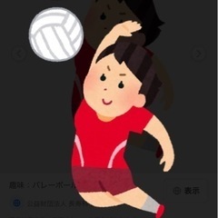 ソフトバレーボール（女性限定）
