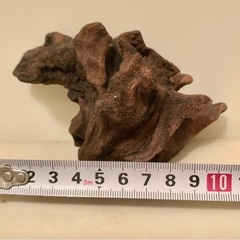 ★ ミナミヌマエビ や プラティなどの水槽に使っていた 流木 3★