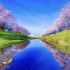 一緒に綺麗になりたい人募集✨