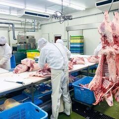 <<土日祝日休み>>月給23万以上 / 賞与2回【食肉加工業務】の画像
