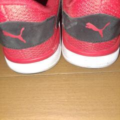 PUMAスニーカー25.5センチの画像