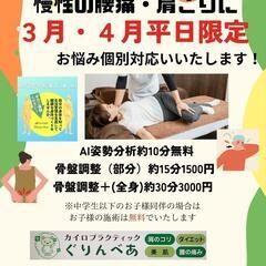 整体３月4月平日限定