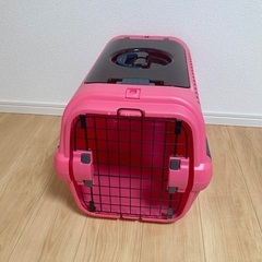 キャリー　犬　外出　車