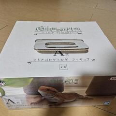 爬虫類と両生類A賞　未開封フトアゴヒゲトカゲフィギュアの画像