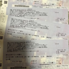 RIZIN チケット