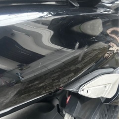 pcx81