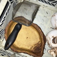 爬虫類用小物　売約済の画像