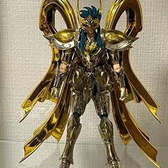 聖闘士聖衣神話EX アクエリアスカミュ(神聖衣)＋エフェクトセットの画像