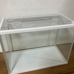 水槽　GEX 