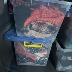 レディース 服の画像