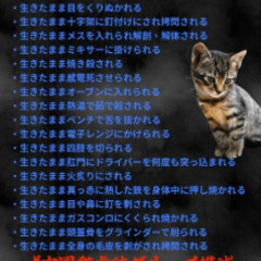 カルおじ　日本の恥 - メンバー募集