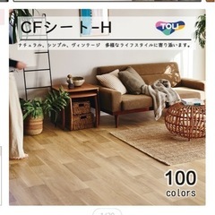 ＣＦシート　アッシュの画像