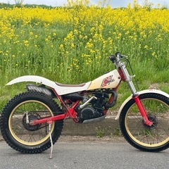 YAMAHA TY250 38V 実働　希少　モトクロス　　